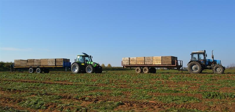 Прицеп тракторный ТОНАР ПТ-7 для тюков сена и овощных ящиков 