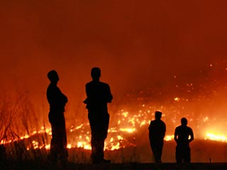 В Греции лесные пожары привели к массовой эвакуации людей