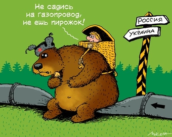 Нуриэль Рубини: Русский медведь - лишний в БРИК