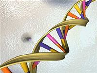 Американская компания пообещала расшифровать геном человека за пять тысяч долларов