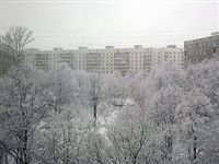 Первая неделя февраля в московском регионе ожидается аномально теплой