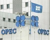 Страны-члены Организации стран - экспортеров нефти (ОПЕК) не будут увеличивать объем нефтедобычи.