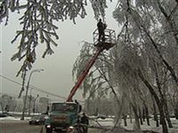Ледяной дождь оставил без света 20 населенных пунктов в Волгоградской области