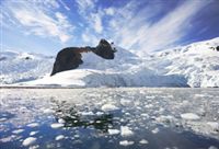Ученые: озоновая дыра над Антарктидой увеличивается