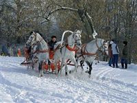 Россиян ждут теплые и снежные выходные