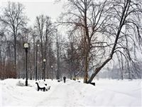 Весна откладывается: снег и ветер сохранятся в Москве до конца недели