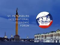 На организацию Петербургского экономического форума потратят 700 миллионов рублей
