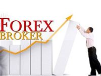 EarnForex – надежный информационный сервис на валютном рынке 