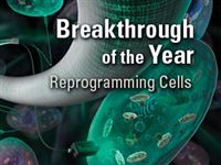 Превращение взрослых клеток в стволовые признано главным научным прорывом 2008 
