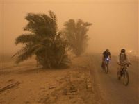 На Ближнем Востоке бушует пыльная буря, пострадали тысячи человек