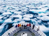 Лед в морях Арктики станет сезонным явлением к 2050 году