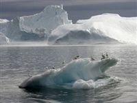 Уровень мирового океана из-за таяния льдов поднимается быстрее, чем думали ученые