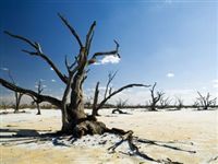 Погода убьет Землю за год: определена главная мировая угроза-2016