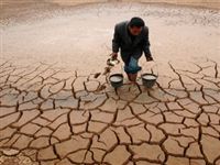 Ученые: К 2050 году более полумиллиона людей погибнут из-за изменений климата