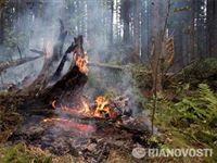 Ученый ТПУ придумал способ "слышать" лесной пожар быстрее аналогов