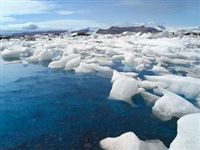 Арктические микробы могут ускорить таяние ледников