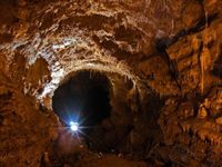 В пещере под Красноярском нашли уникальные антибиотики 