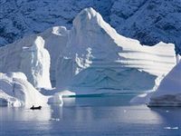 Сибирские и американские ученые спасут Арктику от потепления 