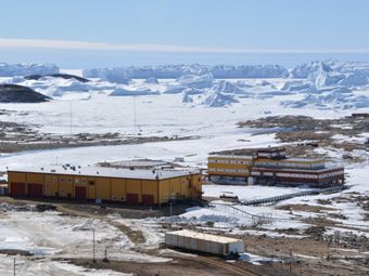 Российские ученые: бактерии на Антарктику заносятся с других континентов