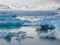 Ученый: Арктические льды дойдут до Мурманска через 5-10 лет 