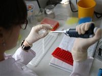 Cибирские ученые впервые в России начали проводить генетическое тестирование онкобольных