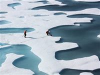 Арктика впервые за сто тысяч лет может освободиться ото льдов