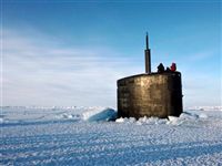 США пригласили РФ и других членов Арктического совета принять участие в учениях Arctic Chinook