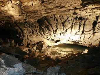 Спелеологи нашли четыре новых вида животных в самой глубокой пещере за Уралом