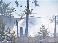 Росгидромет назвал регионы с повышенной вероятностью возникновения пожаров в августе