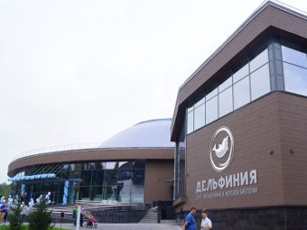 Первый в Сибири дельфинарий открылся в Новосибирске
