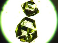 В сибирском угле нашли уникальные природные минералы