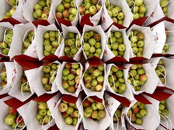 Кубанские яблоки ополчились против молдавских 