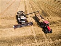 Российское правительство обнулило экспортную пошлину на пшеницу