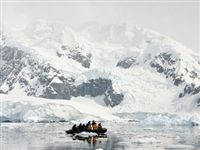 Ученые по-новому объяснили наличие водорослей в горах Антарктики