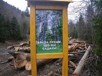 ЕС увязал выплату Украине кредита с экспортом леса