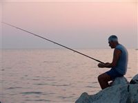 В программу будущих Олимпийских игр могут включить рыбалку