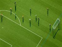 Голландские ученые выяснили, что искусственные футбольные поля могут вызывать рак