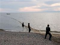 Запрет на ловлю омуля в Байкале коснется только промышленности