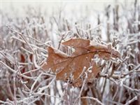 Зима близко: как холод влияет на здоровье