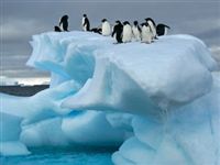 После "вечной зимы" Антарктида нагревалась намного сильнее других регионов