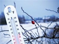 Климатический скептицизм: в глобальное потепление верят только те, кто не замерзает зимой