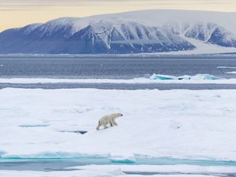К тайнам шельфа: мегагрант ученым на исследование Арктики продлен на два года