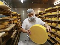 Сырный бум: как эмбарго изменило российский рынок