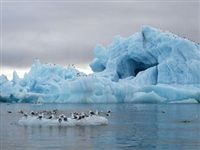 Ученые выяснили, когда Арктика станет полностью свободной ото льда