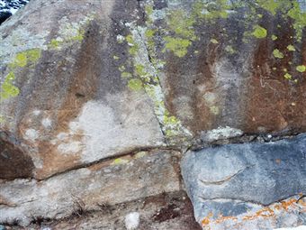 Найдены самые большие петроглифы Горного Алтая 