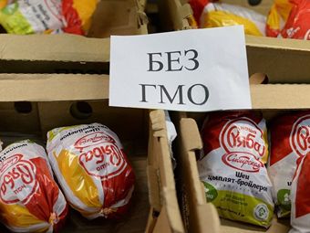 Россия в ближайшие 100 лет сможет спокойно обойтись без ГМО, считают новосибирские ученые