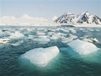 Ученые переложили вину за таяние льдов на природу