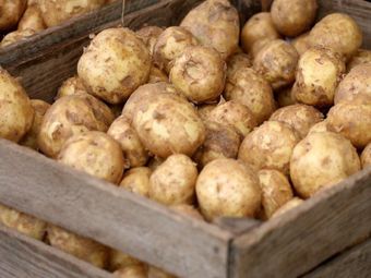 В Японии возник дефицит картофеля, приостановлены продажи 49 видов чипсов