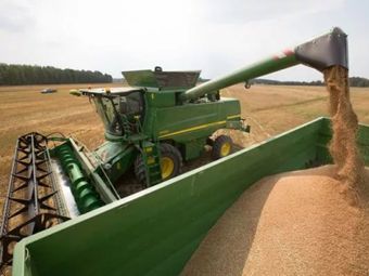 Турция мешает России ставить рекорды по экспорту пшеницы