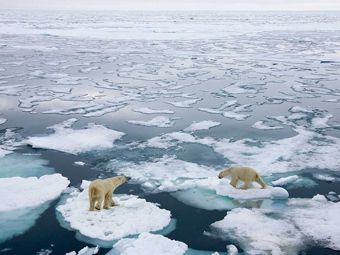 Климатолог: Арктика является индикатором изменения климата